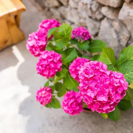 Gemuetliches Steinhaus Nonna Stara By Interhome * Polje (Krk)