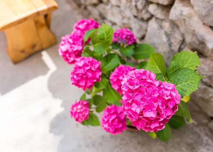 Gemuetliches Steinhaus Nonna Stara By Interhome * Polje (Krk)